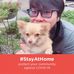 Profile Picture of John Doi (JoviConstandoi) (@cy.jovi) on Facebook