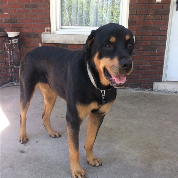 Profile Picture of Joseph Scozzafava (@scozzdeals) on Poshmark