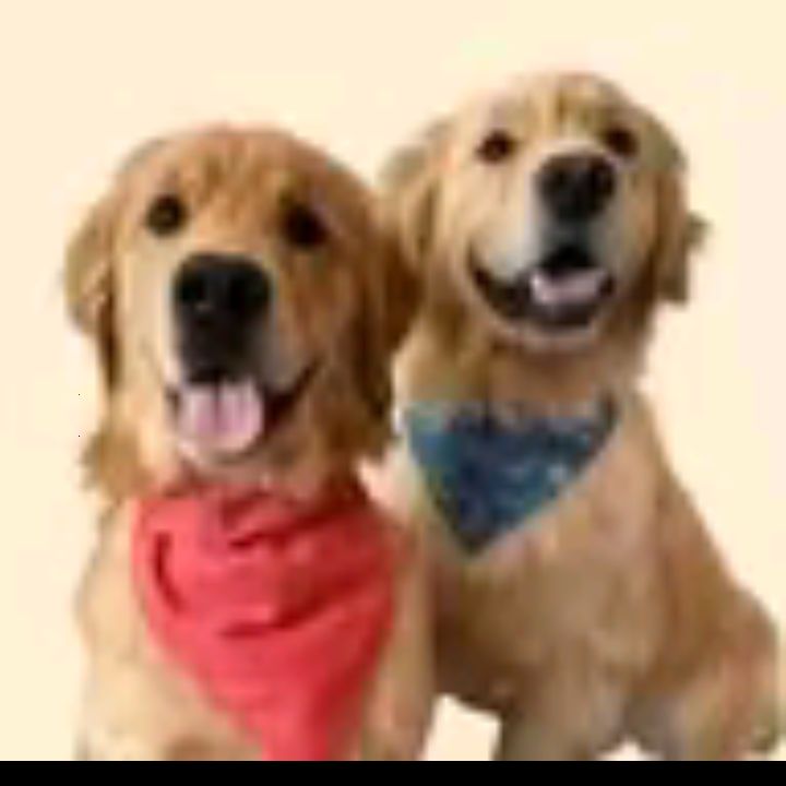 Profile Picture of TreySingletary (@treysingletary3) on Tiktok