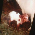 Profile Picture of zacharyearlywine (@zacharyearlywine) on Instagram