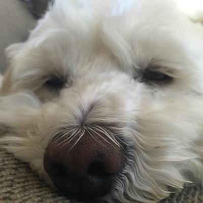 Kevin Lorber - Twitter Profile Picture of Kevin Lorber (@KevinLorber) on Twitter