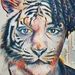 Profile Picture of Dwayne McClain (@mcclaindwayne72) on Pinterest