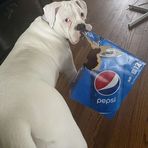 Profile Picture of Alisha Bon (@Alisha-Bon) on Facebook