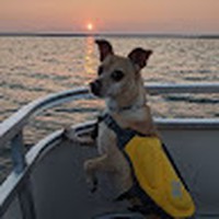 Profile Picture of Jason Clausen (@jason-clausen-5) on Quora
