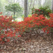 Profile Picture of Jason Riner (@jriner21) on Youtube