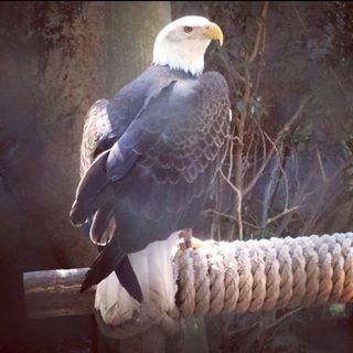 Profile Picture of Angelo Scotto (@angelo.scotto.75) on Facebook