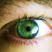 Profile Picture of Kenneth Strader (@kpstrader) on Pinterest