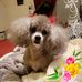 Profile Picture of Chuck Johnson (@chuck.johnson.7359447) on Facebook
