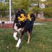 Profile Picture of Gregory Bray (@gregory.bray.758) on Facebook