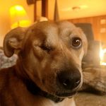 Profile Picture of bruce hilburn (@bruce._.hilburn) on Instagram