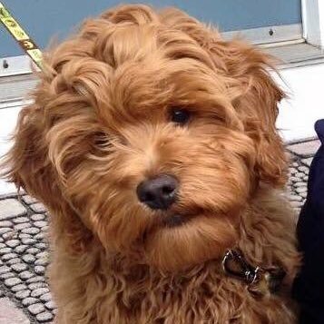 Profile Picture of Jessica Pascale (@JennaFrankMason) on Twitter