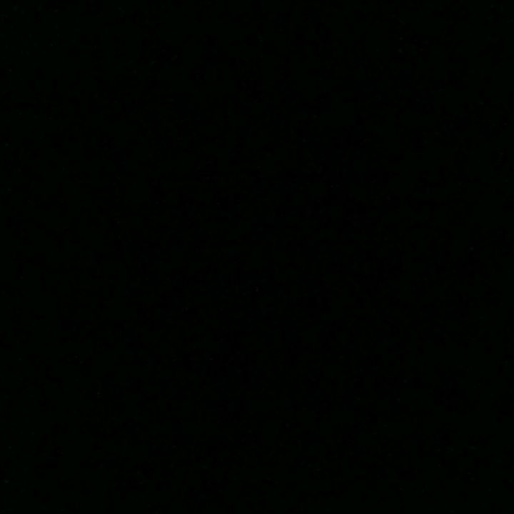 Profile Picture of Daniela Grillo (@danielagrillo4) on Tiktok