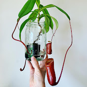 Casey McGuire - Youtube Profile Picture of Casey McGuire (@caseymcguire5078) on Youtube