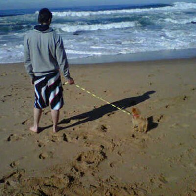 Profile Picture of Robert Porterfield (@200719287) on Twitter