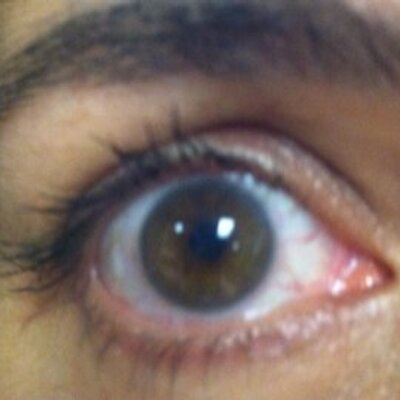 Profile Picture of Alex Vitale (@vitalex67) on Twitter