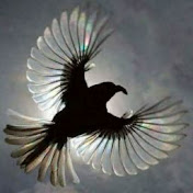 Profile Picture of Sami Daoud (@samidaoud5561) on Youtube