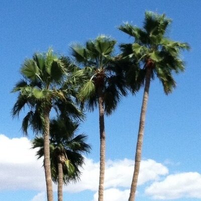 Profile Picture of Jeff Grote (@tmi479) on Twitter