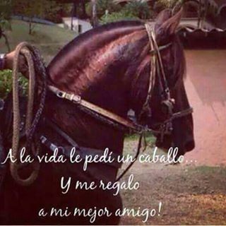 Profile Picture of J Jose Cadavid (@jjose.cadavid) on Facebook