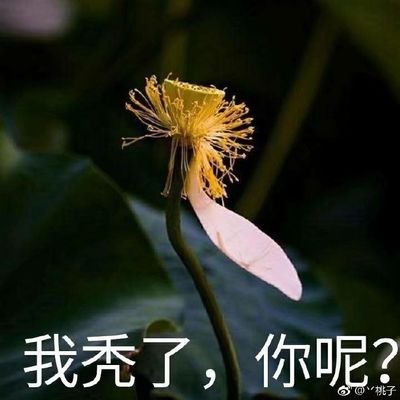 Profile Picture of 钿 (@ZhiyuanZhang110) on Twitter