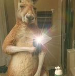 Joshua Coronado - Facebook Profile Picture of Joshua Coronado (@ripchamoy) on Facebook