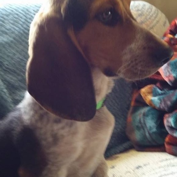 Profile Picture of Lisa Busby (@lisabusby) on Poshmark