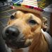 Profile Picture of Darryl Red Crosby (@darryl.r.crosby) on Facebook