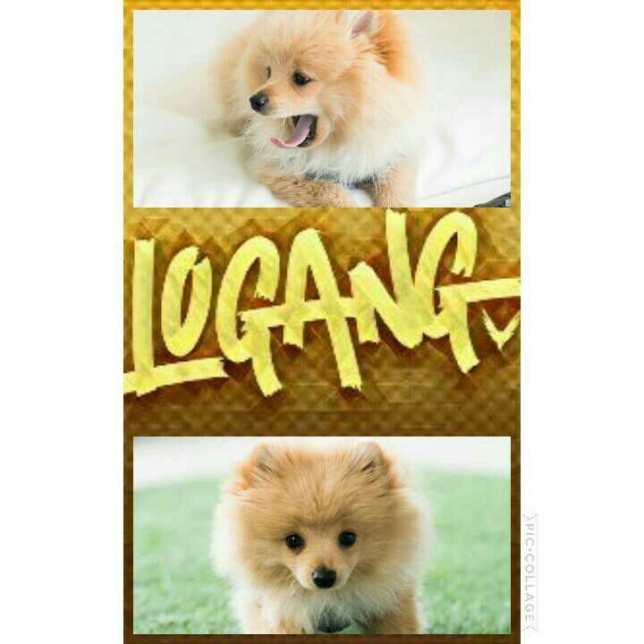 Profile Picture of jensen powell (@jensen_powell_) on Tiktok