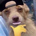 Andrewolague - Instagram Profile Picture of Andrewolague (@andrewolague_) on Instagram