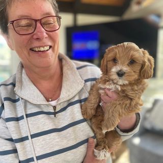 Profile Picture of Patty Fleming (@pattylfleming) on Instagram