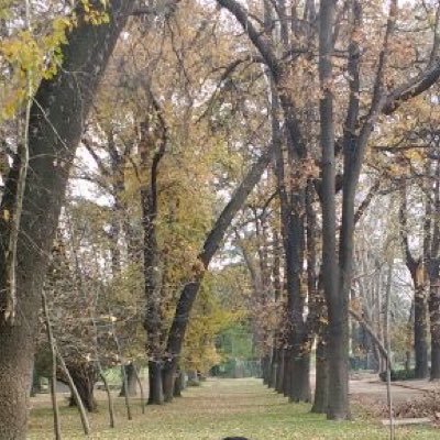 Profile Picture of Maritza Jimenez (@MariJimMun) on Twitter