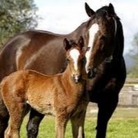 Profile Picture of Bella Zhang (@bella-zhang-38) on Quora