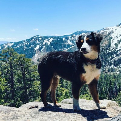 Craig Rowe - Twitter Profile Picture of Craig Rowe (@hikeclimbsurf) on Twitter