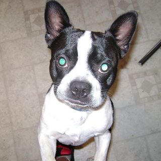 Profile Picture of Bryan Wheeler (@bryan.wheeler.948) on Facebook