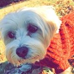 Profile Picture of Lily Steiner (@_sily_lily) on Instagram