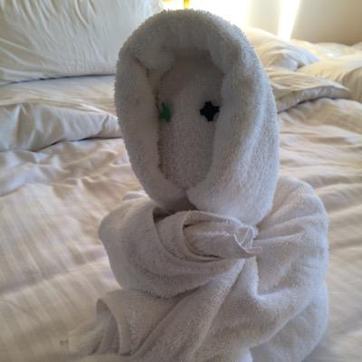 Profile Picture of Nancy (@nancymillen) on Twitter