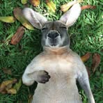 Profile Picture of David Abayev (@David-Abayev) on Facebook