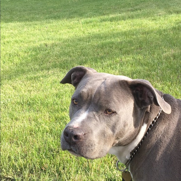 Jen Mccarthy - Poshmark Profile Picture of Jen Mccarthy (@ohheyjenbm) on Poshmark