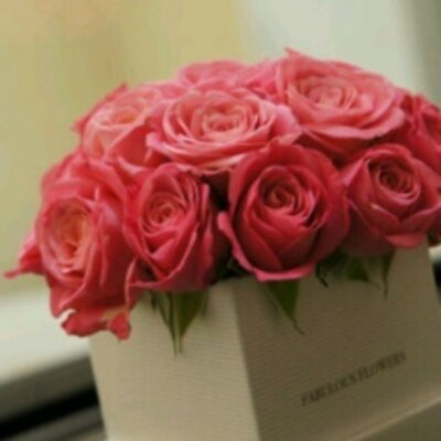 Profile Picture of الرشيدي ♈Ω (@HerbertLogan1) on Twitter