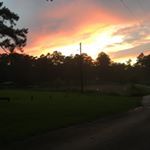 Profile Picture of Brad Elrod (@brad.elrod) on Instagram