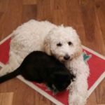 Profile Picture of eric elbaz (@ffsomglmao) on Instagram