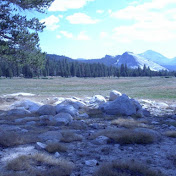 Profile Picture of Shawn McInerney (@shawnmcinerney4663) on Youtube