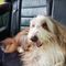 Profile Picture of Peter Buxton (@peter.buxton.589) on Facebook