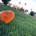 Profile Picture of George Loepke (@george.loepke.7) on Facebook