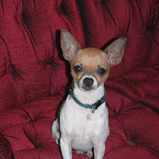 Profile Picture of Randy Tyner (@riddysback) on Youtube