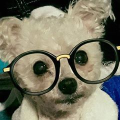 Profile Picture of Lisa Minard (@lisaminard) on Tiktok