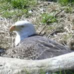 Profile Picture of Brian Jackle (@brian.jackle.1) on Facebook