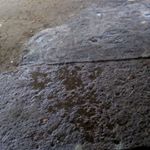 Profile Picture of luz fierros (@luz.fierros) on Instagram