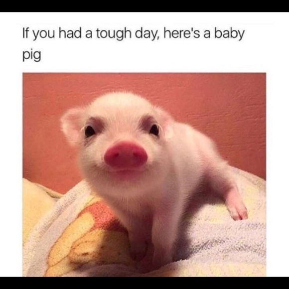 Profile Picture of Alex Nunn (@alexsarus291) on Poshmark