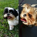 Profile Picture of Clayton Seymour (@gingerzoeygram) on Instagram