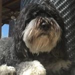 Profile Picture of Paul Fuhrer (@pacofuhrer10) on Instagram